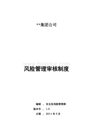 集团公司风险管理审核制度Word格式.doc