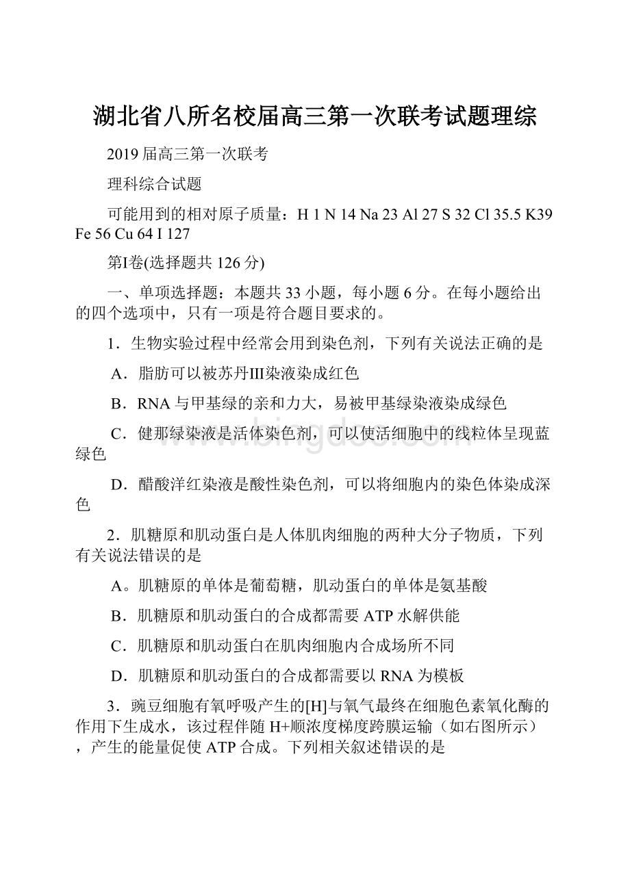 湖北省八所名校届高三第一次联考试题理综文档格式.docx_第1页