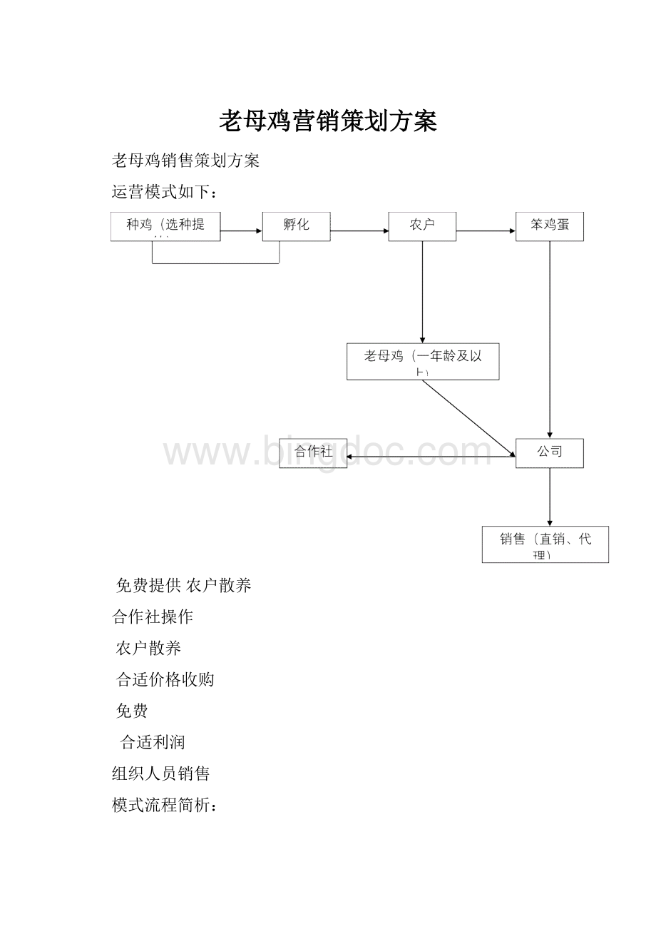 老母鸡营销策划方案.docx