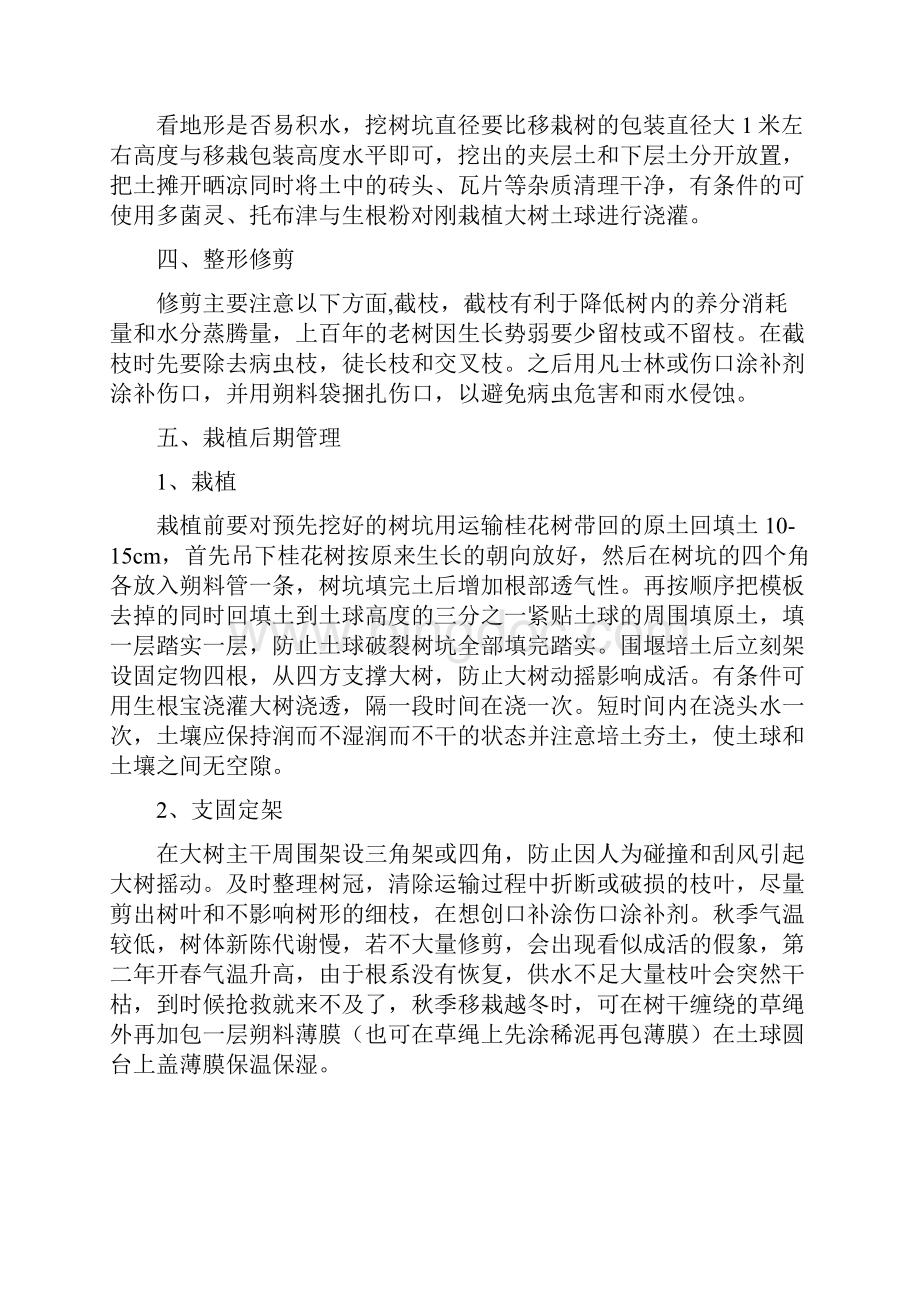 关于大桂花树移栽技术的总结.docx_第2页