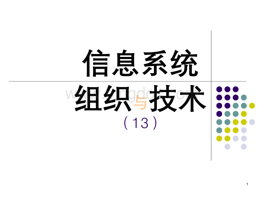 商学院管理信息系统课件13.ppt