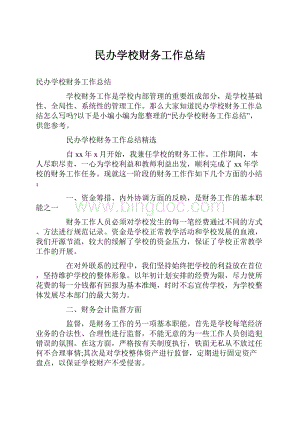 民办学校财务工作总结.docx