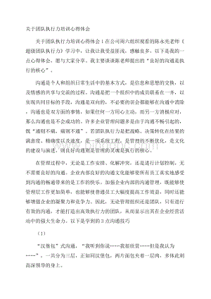 关于团队执行力培训心得体会Word文档下载推荐.docx