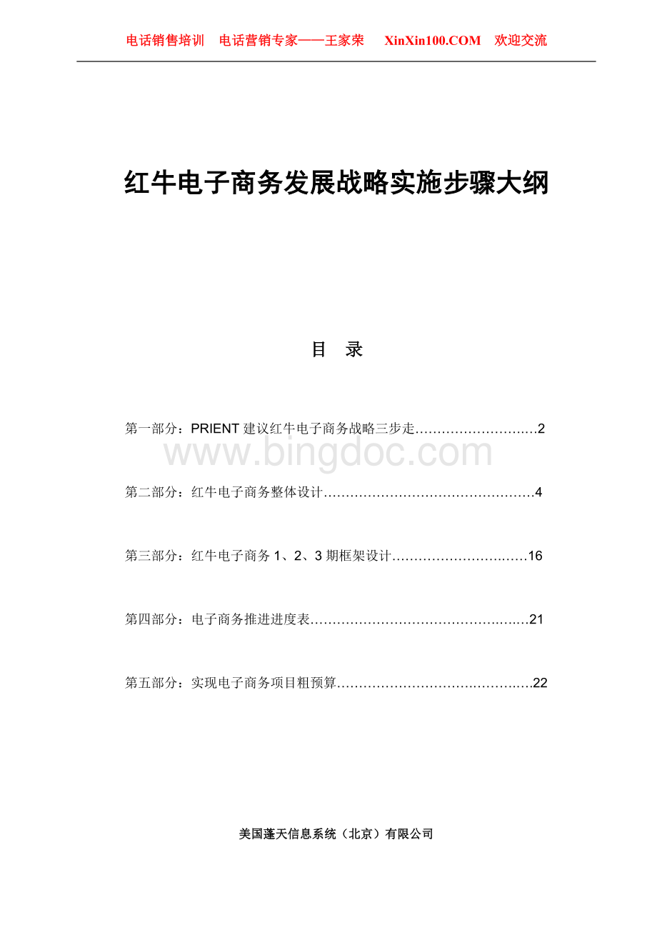 王家荣-红牛电子商务发展战略实施步骤大纲1Word文档格式.doc_第1页
