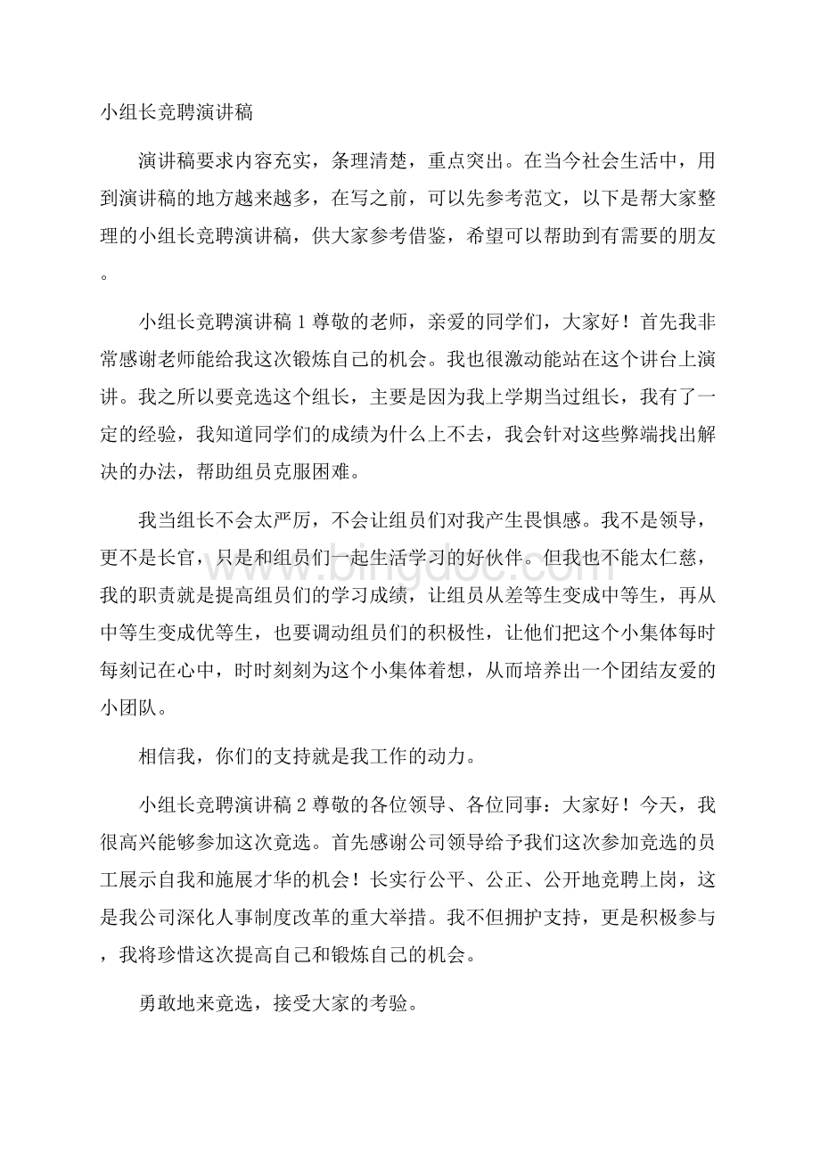 小组长竞聘演讲稿文档格式.docx