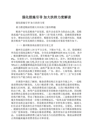 强化措施引导 加大扶持力度解读.docx