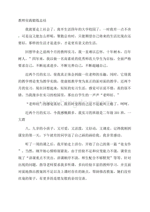 教师实践锻炼总结.docx