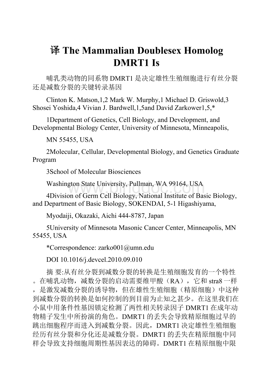 译The Mammalian Doublesex Homolog DMRT1 IsWord文档格式.docx