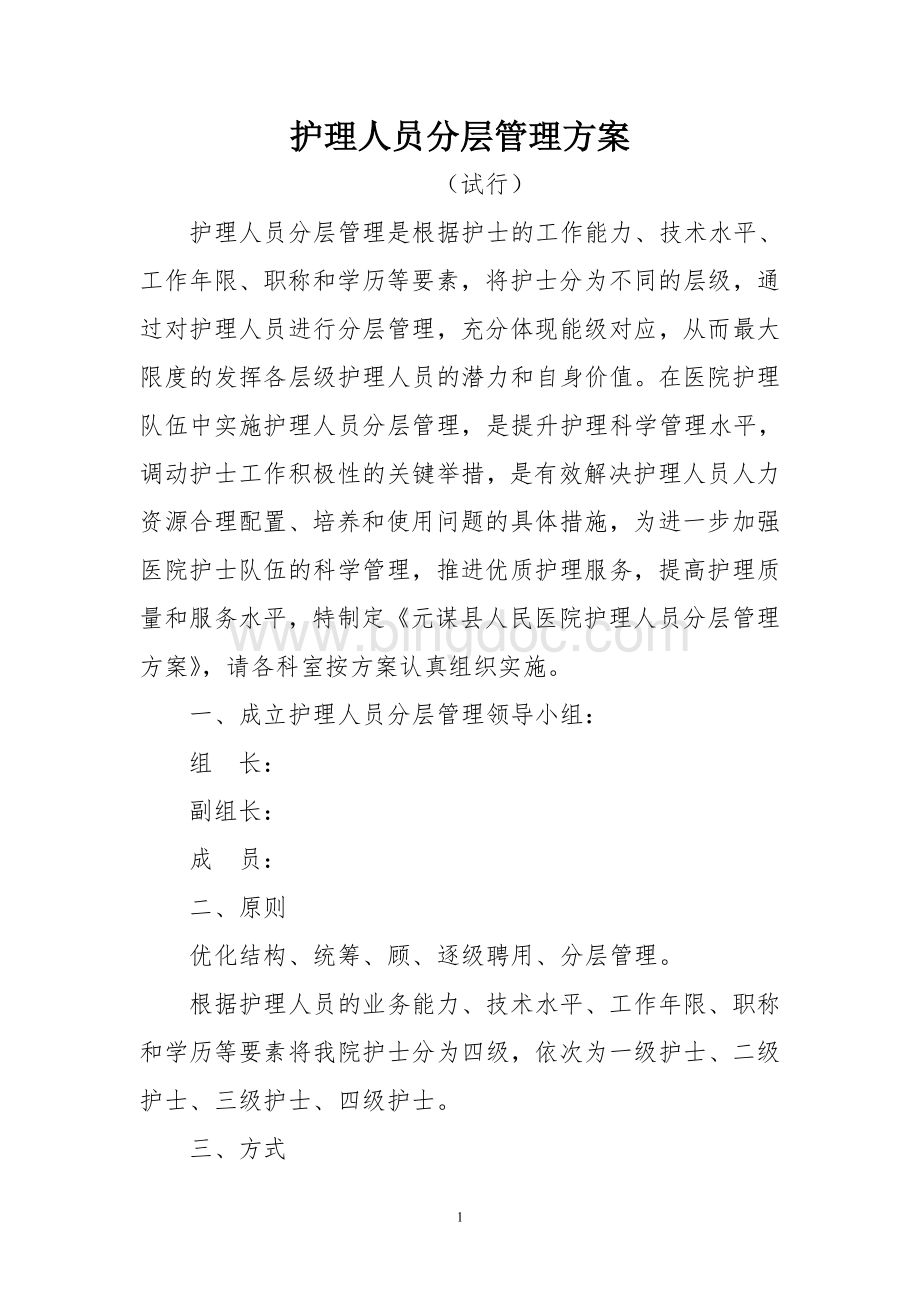 护理人员分层管理方案(试行)Word文档格式.doc