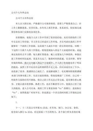 公司个人年终总结.docx