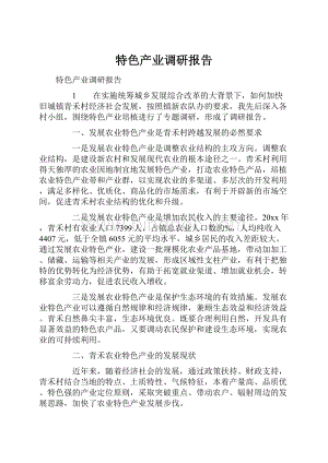 特色产业调研报告.docx