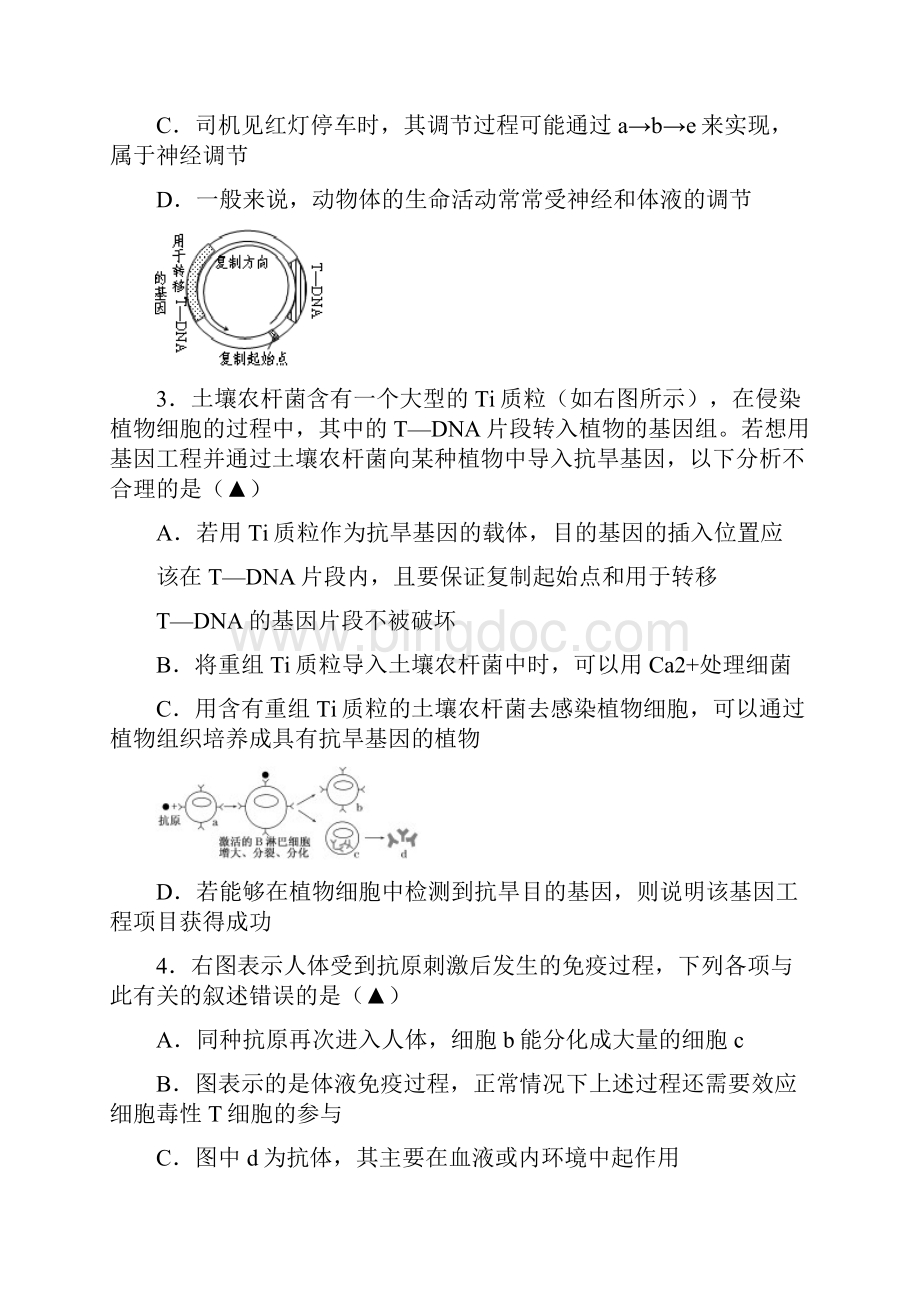 高三理科综合试题第四次限时训练Word文件下载.docx_第2页