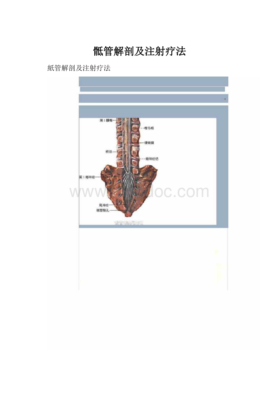 骶管解剖及注射疗法Word文档下载推荐.docx_第1页