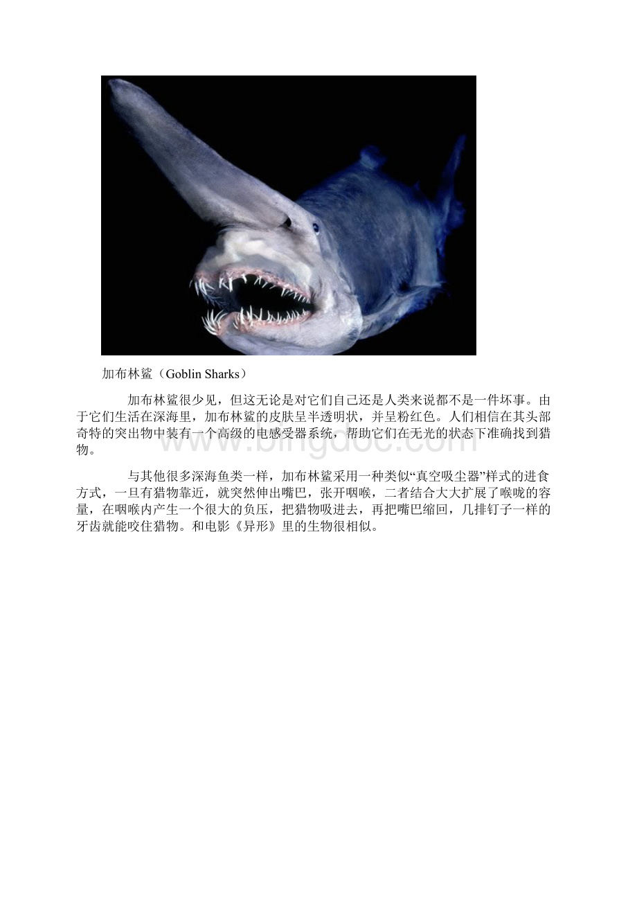 o海洋中最奇特的十种鲨鱼.docx_第2页