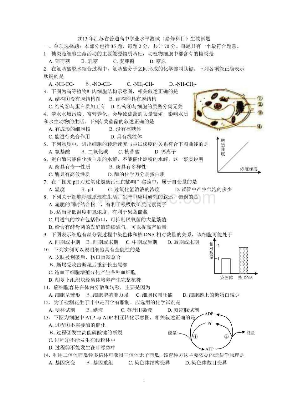 江苏省学业水平测试生物试题Word下载.doc_第1页