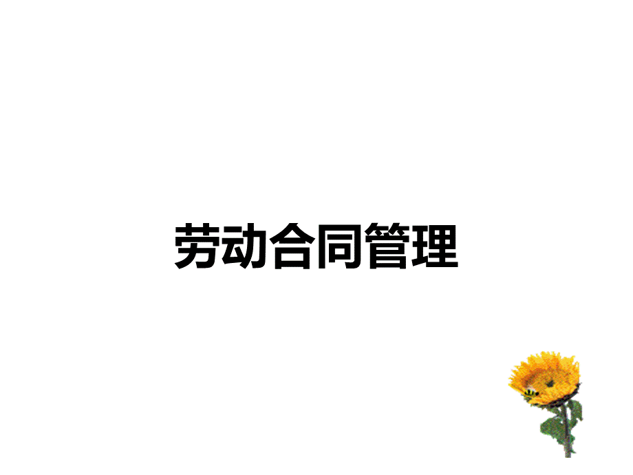 劳动合同相关知识.ppt