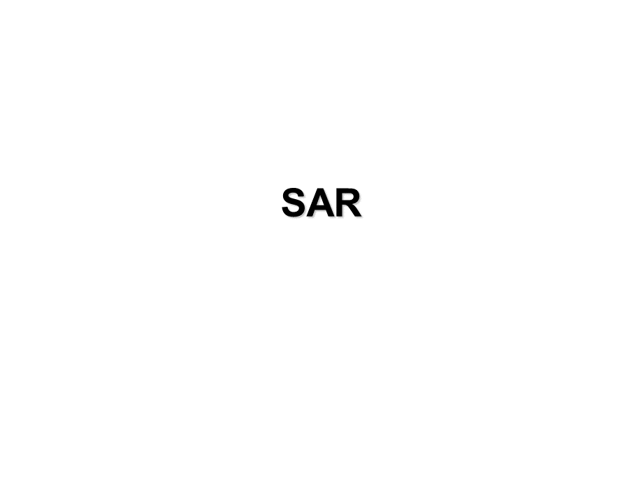 sar的介绍和测试.ppt_第1页