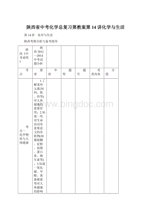 陕西省中考化学总复习第教案第14讲化学与生活文档格式.docx