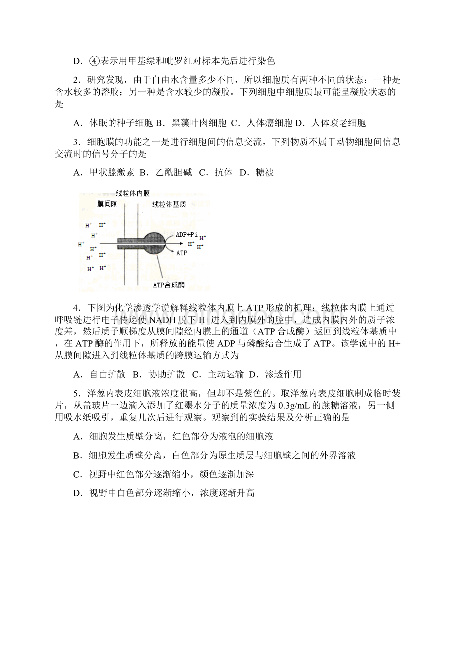 湖南省长沙市届高三高考模拟生物试题.docx_第2页