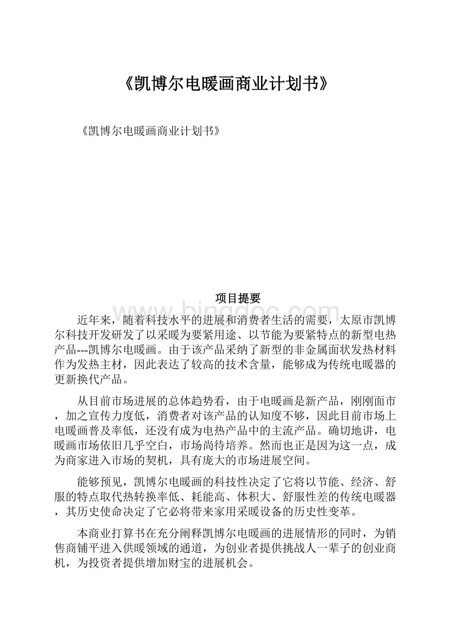 《凯博尔电暖画商业计划书》Word格式文档下载.docx