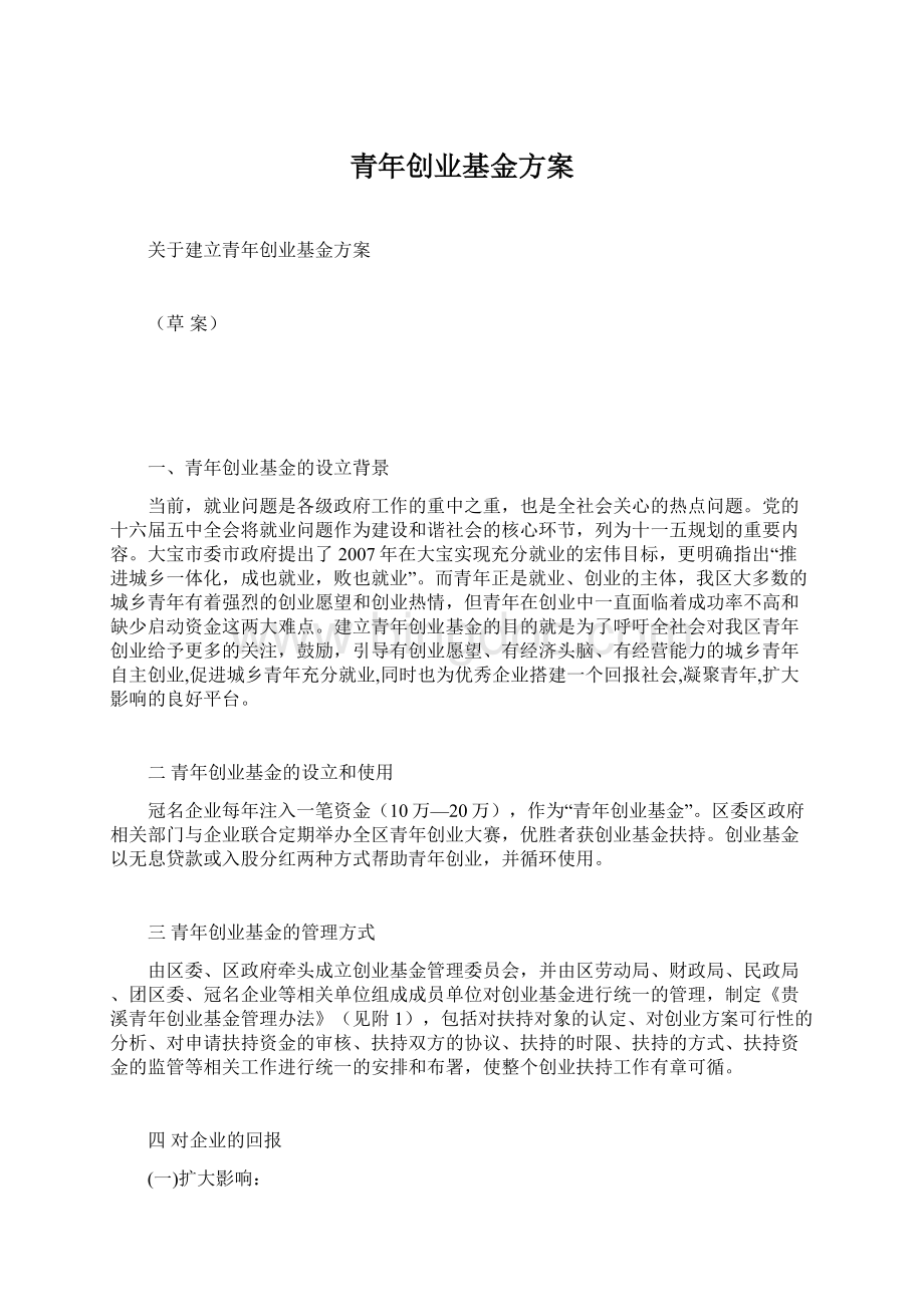 青年创业基金方案文档格式.docx_第1页