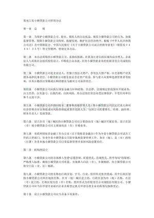 黑龙江省小额贷款公司管理办法Word格式文档下载.doc