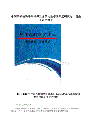 中国天然植物纤维编织工艺品制造市场深度研究与市场全景评估报告Word格式文档下载.docx