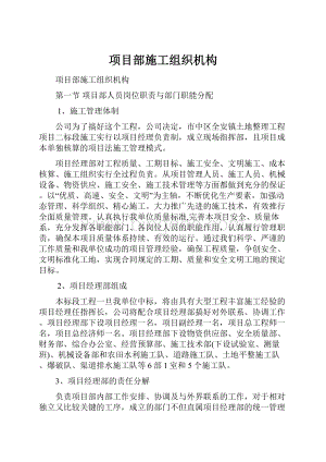 项目部施工组织机构.docx