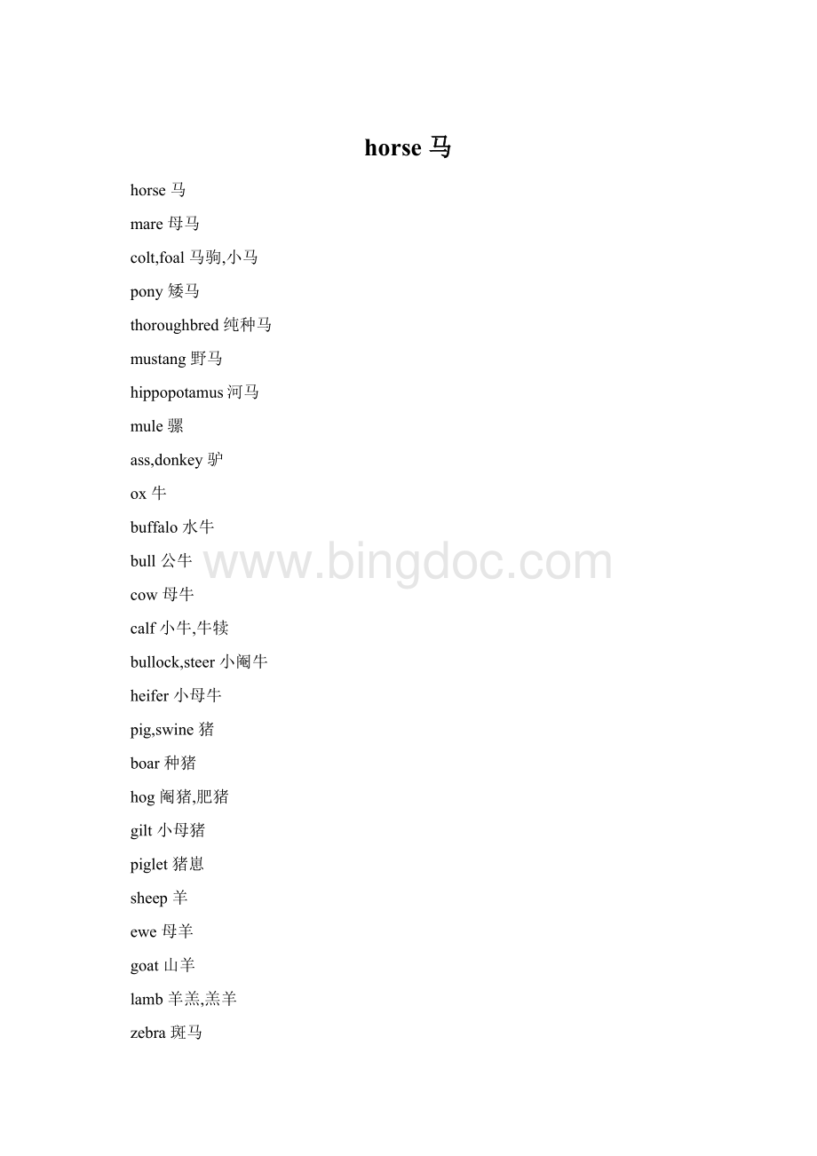 horse 马文档格式.docx