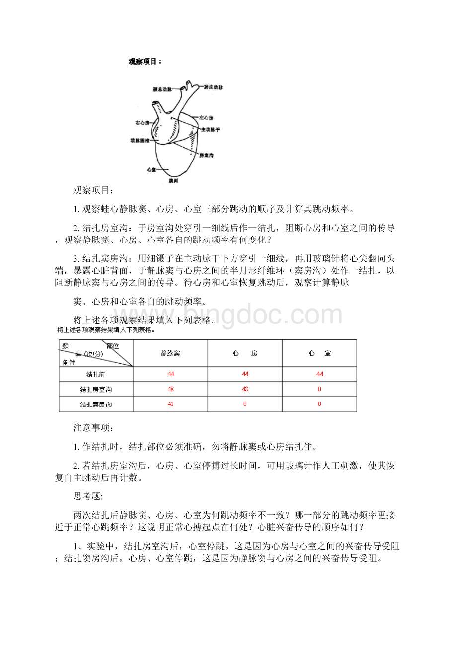 生理实验分析文档格式.docx_第3页