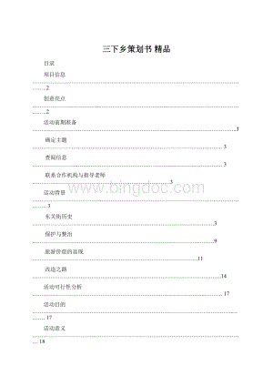 三下乡策划书 精品Word文件下载.docx
