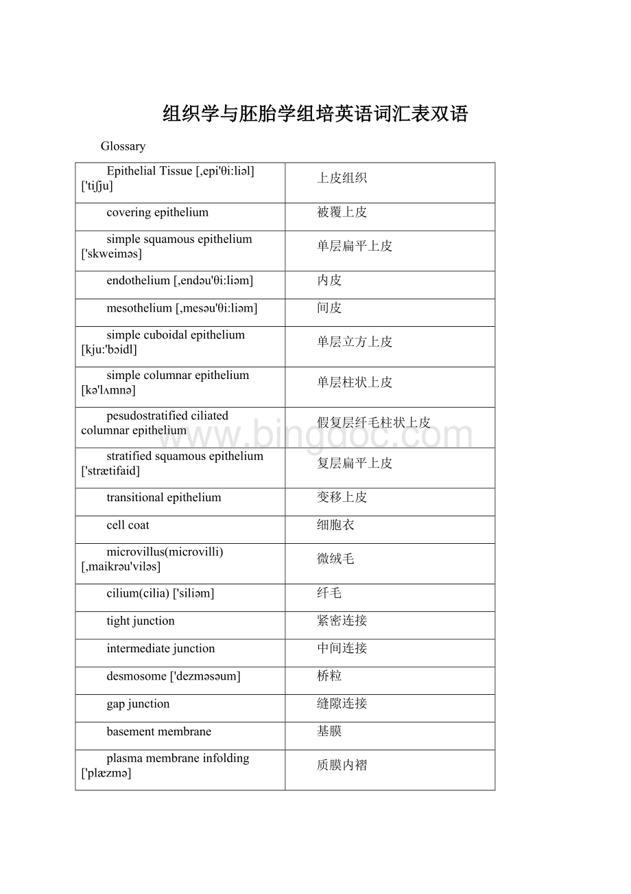 组织学与胚胎学组培英语词汇表双语Word格式.docx