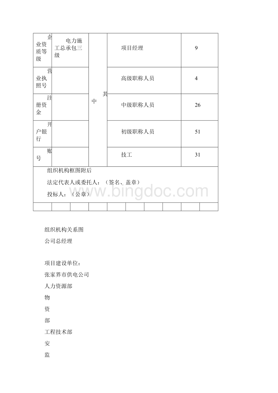 电力投标文件技术标文档格式.docx_第2页