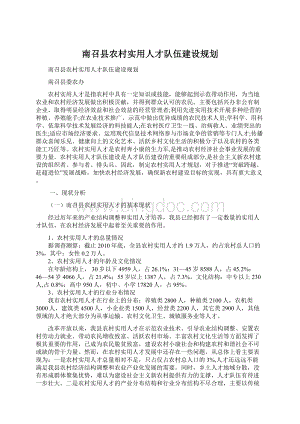 南召县农村实用人才队伍建设规划.docx