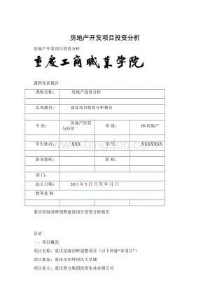 房地产开发项目投资分析.docx