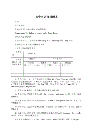 初中名词终极版本Word文档格式.docx