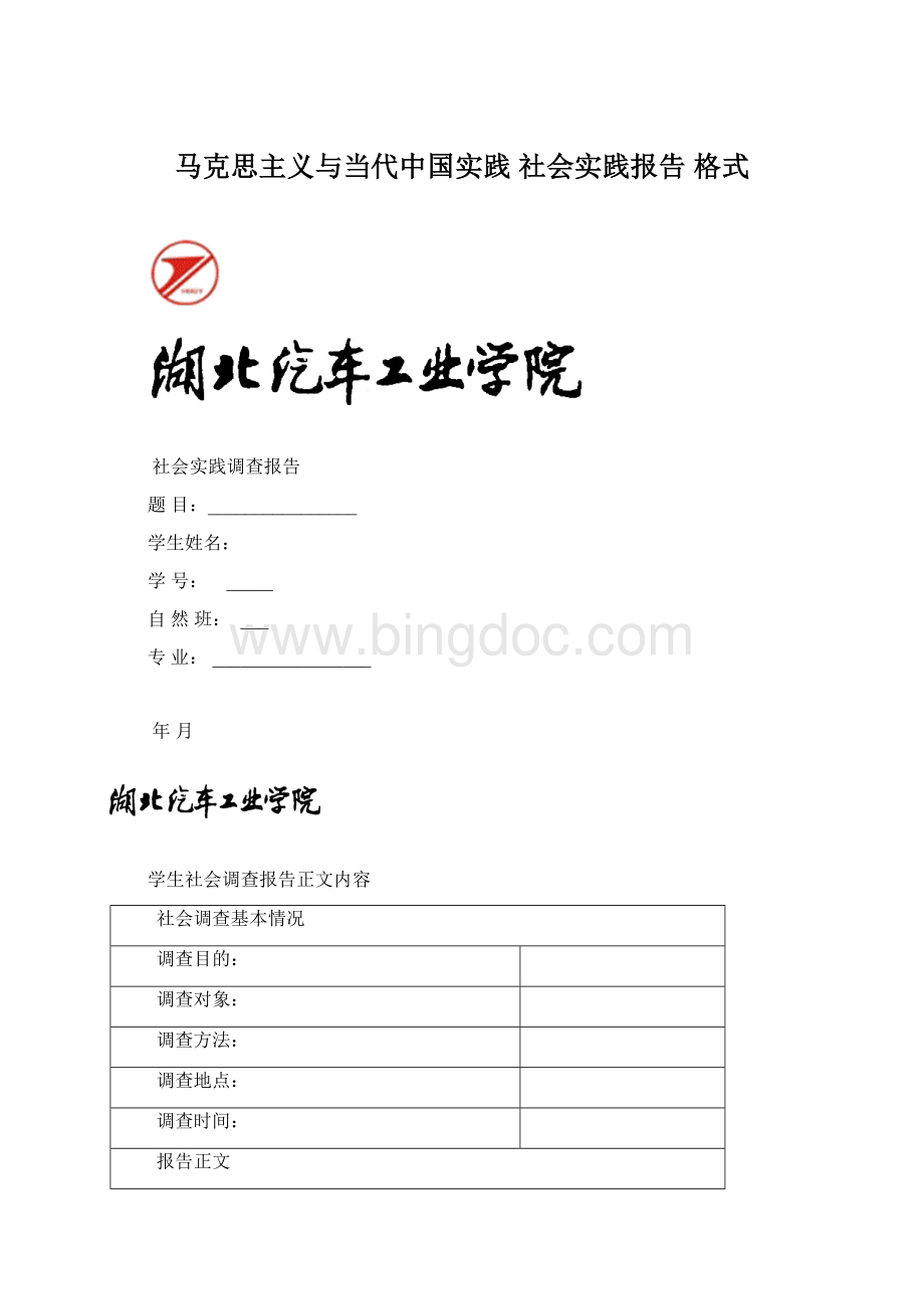 马克思主义与当代中国实践 社会实践报告格式.docx