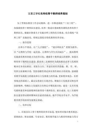 名特优教师培养目标Word格式文档下载.doc