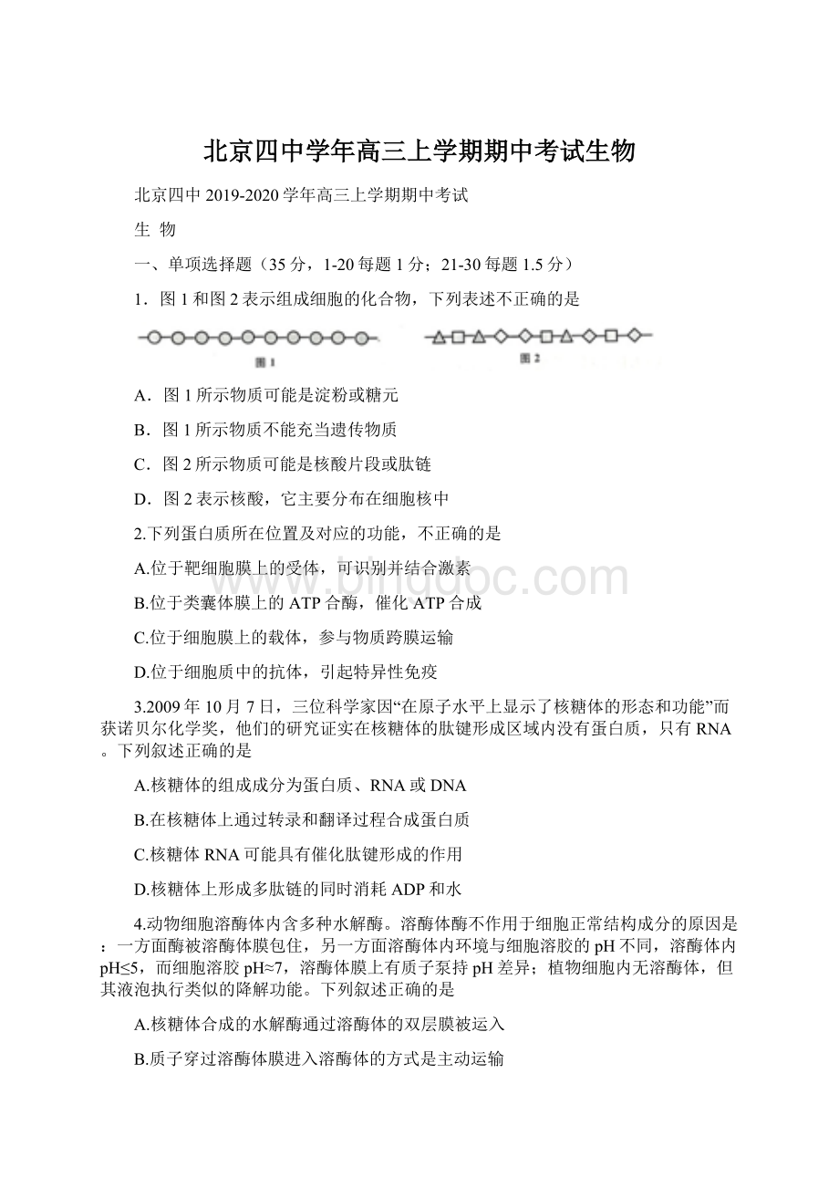 北京四中学年高三上学期期中考试生物.docx_第1页