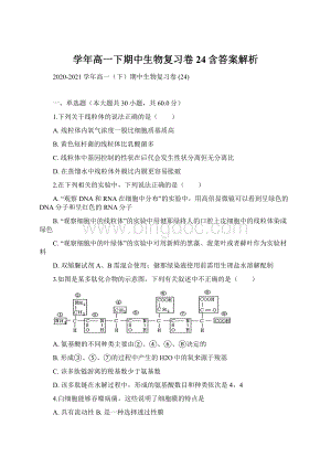 学年高一下期中生物复习卷 24含答案解析Word文件下载.docx