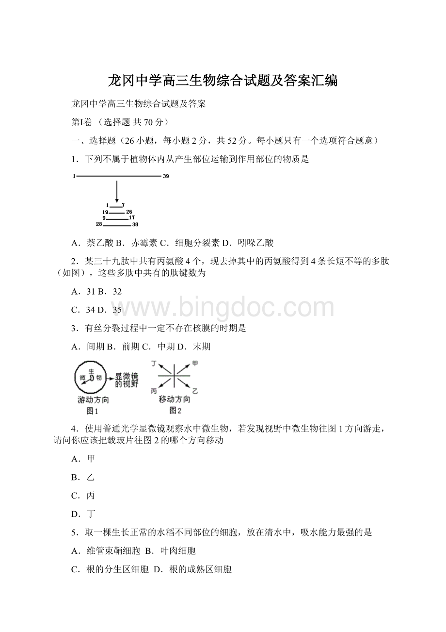 龙冈中学高三生物综合试题及答案汇编Word格式文档下载.docx_第1页