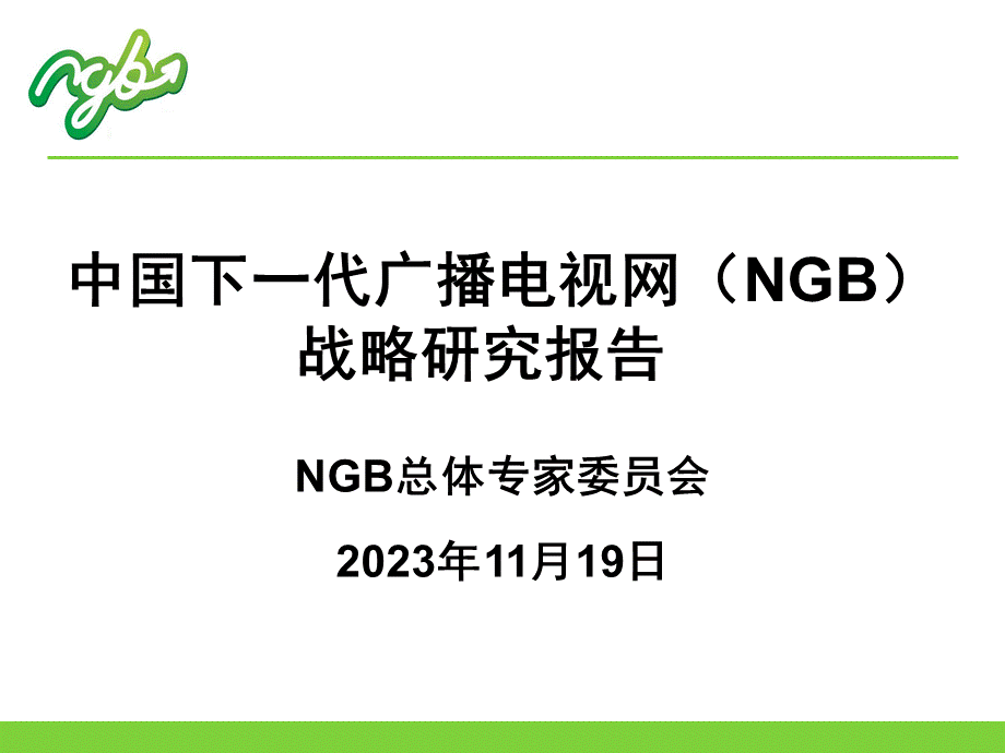 NGB战略研究报告.ppt