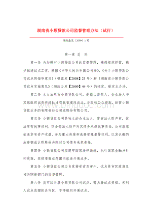 《湖南省小额贷款公司监督管理办法(试行)》Word格式文档下载.doc