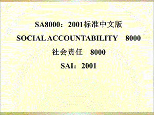 SA8000全文社会责任.ppt