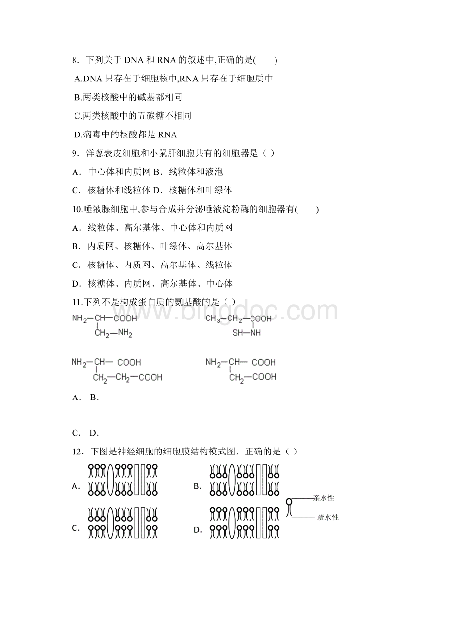 陕西省陕师大附中学年高一生物上学期期末试题 文.docx_第2页