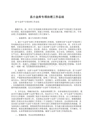 县小金库专项治理工作总结Word格式文档下载.docx