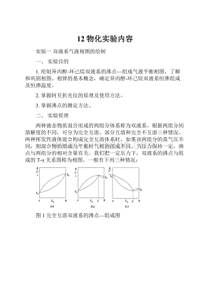 12物化实验内容.docx