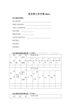 党支部工作手册docx.docx