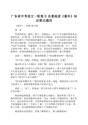 广东省中考语文一轮复习 名著阅读《童年》知识要点通用Word文件下载.docx