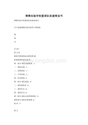 博雅实验学校篮球队组建策划书.docx